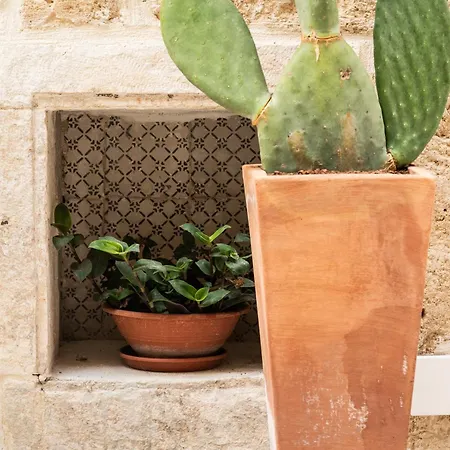 Le Dimore Di Rosa E Vincenzo * Bari