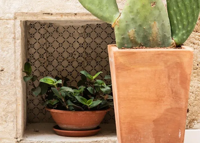 Le Dimore Di Rosa E Vincenzo * Bari